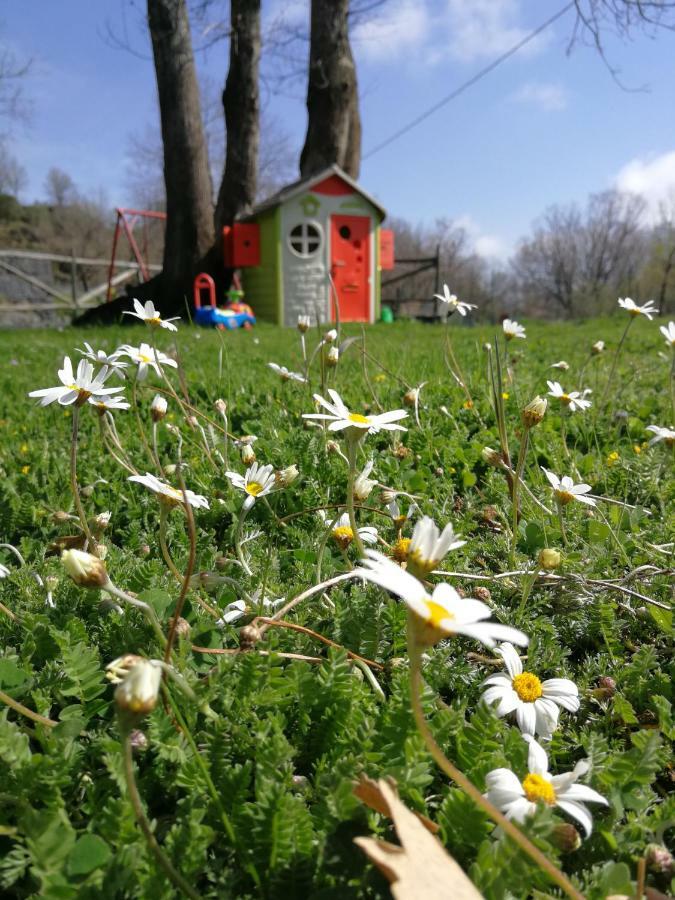 Viola Nel Parco Villa Sant'Alfio Exterior photo